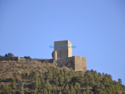 Castillo de Lorca 2008